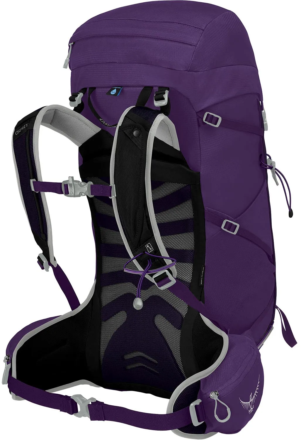 Osprey Tempest 30 Women's Backpack - Violac Purple