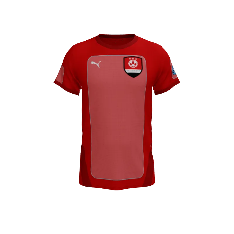 Puma Personalizable Only Puma Team Goal Jersey. (x 1)